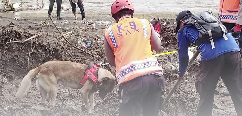 Polda NTB Kerahkan Polmas K9 Berkemapuan SAR, Bantu Pencarian Korban Banjir di Bima