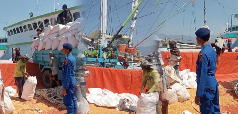 Giat Monitoring Satuan Polairud Polres Bima Kota di Pelabuhan Bima Dalam Meningkatkan Kesadaran Keselamatan